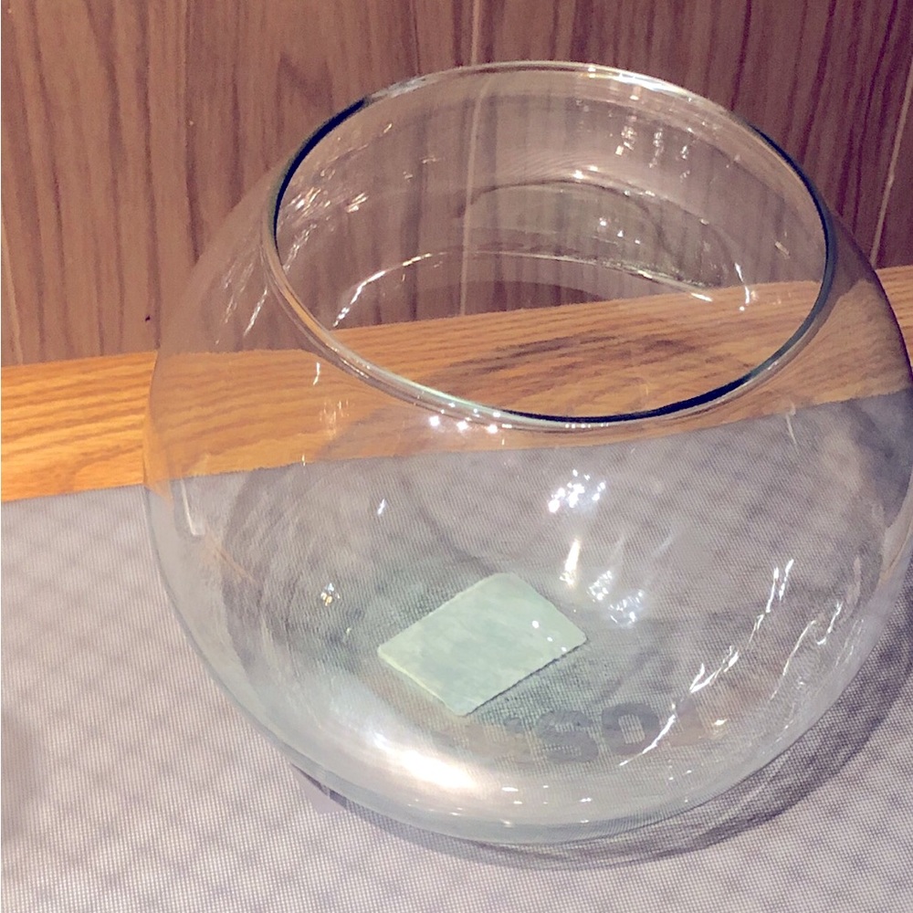 Large Glass bowl Bubble Fish Terrarium Bowl